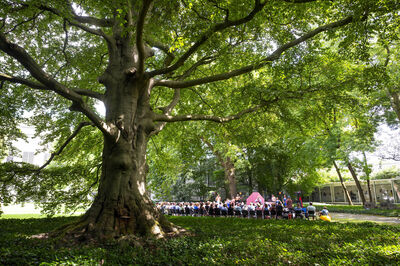 Een groep mensen zit in het gras onder een grote, groene boom in een park.