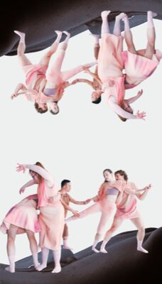 Een symmetrisch gespiegelde compositie van dansers in roze en perzikkleurige kleding die op een golvende, donkere ondergrond dansen tegen een witte achtergrond.